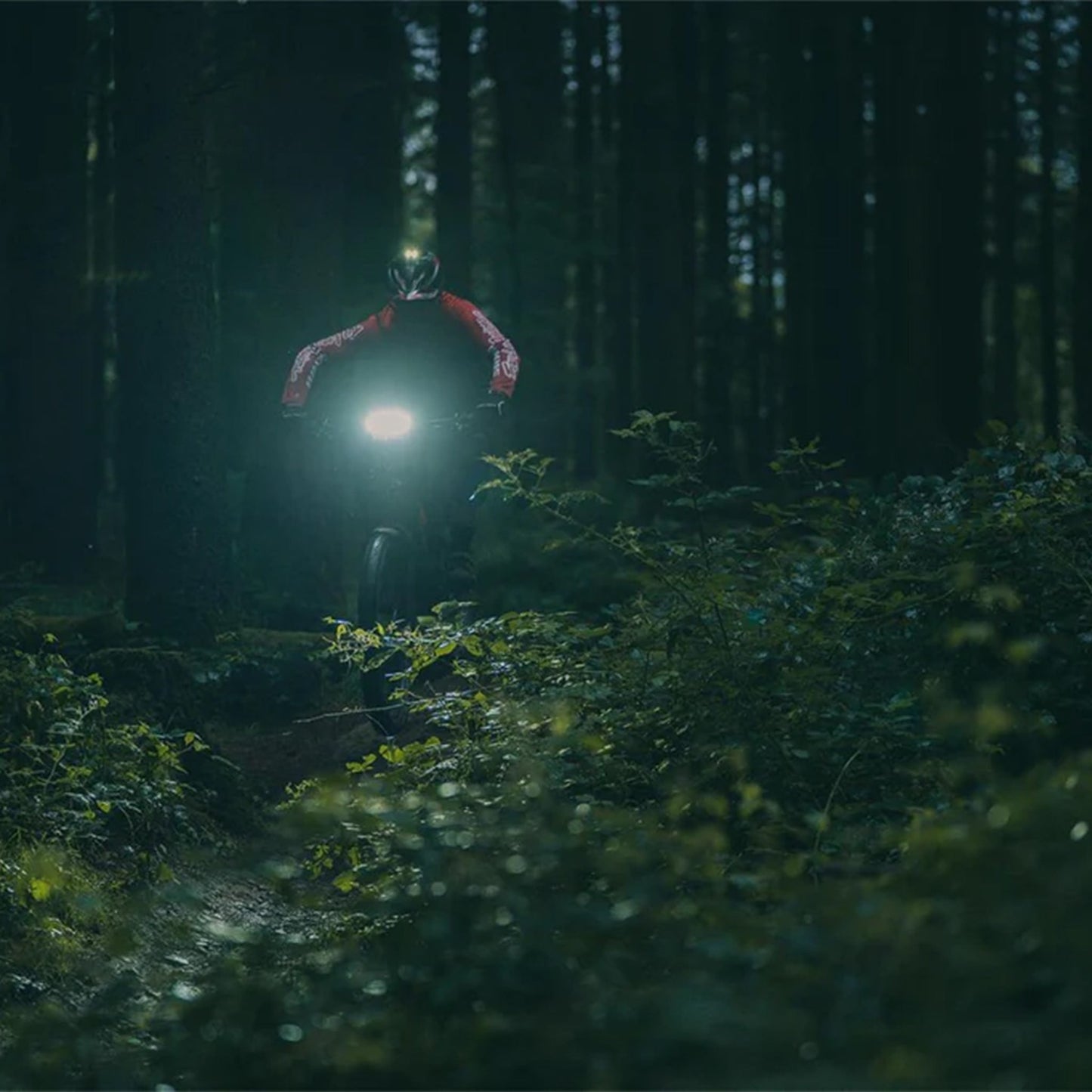 Gemini Lights TITAN 4000 Lyshoved | 2021 model