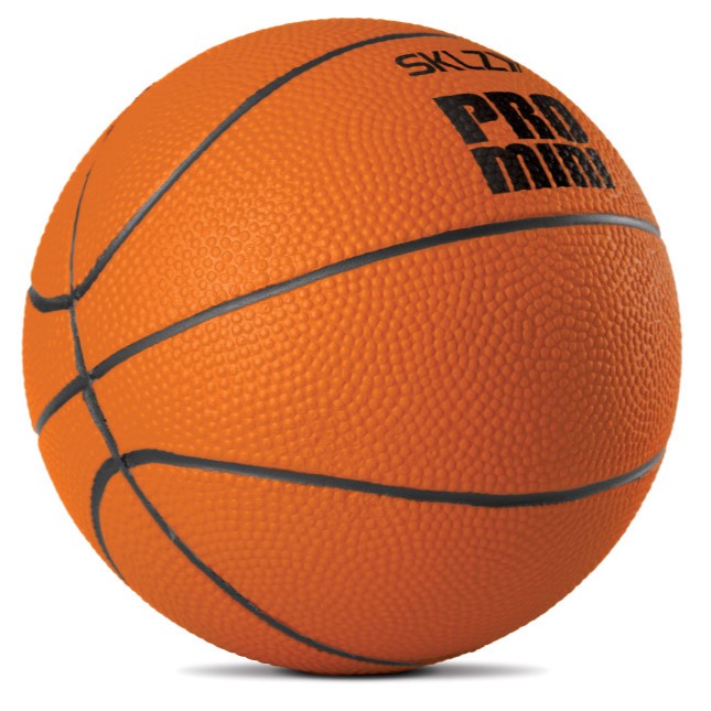 SKLZ Pro Mini Swish Ball